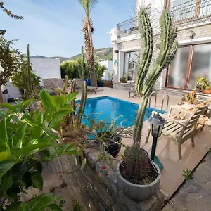  Villa Dolphin